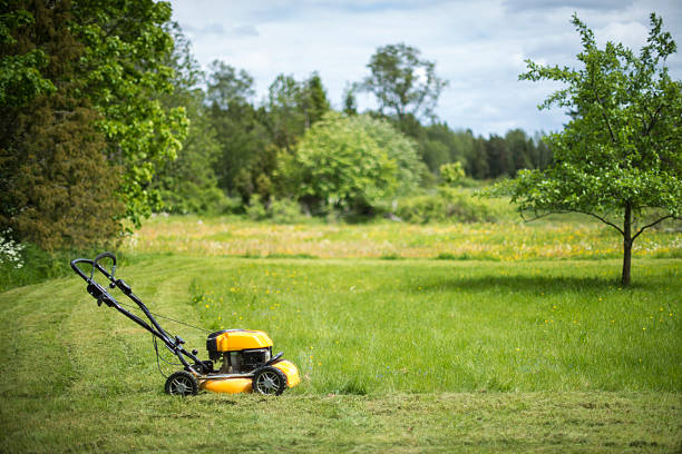 lawnmower parts online NZ